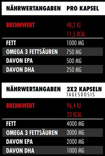 Herz & Gefäße: Big Zone Omega 3 + MST Magnesium + ESN Vitamin D3 – Big Zone Omega 3 Fury Triglyceride 120 Kapseln