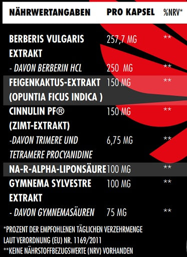 Big Zone Invictus G.D.A 90 kapslí