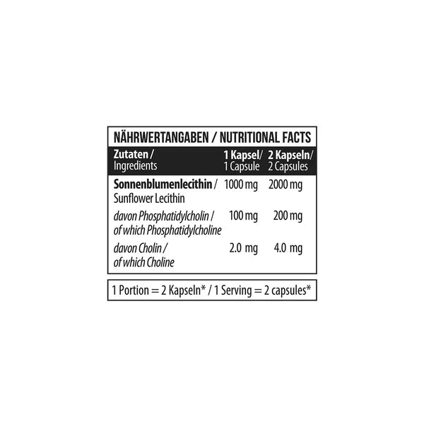 MST Marken-Großset: Chitosan + Chrom + Creatine Pro + 3 weitere – MST - Lecithin 90 Caps