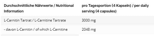 Ausdauer-Set: MST Magnesium + Big Zone Buffere + INLEAD L-Carniti – INLEAD L-Carnitine Tartrate 120 Kapseln