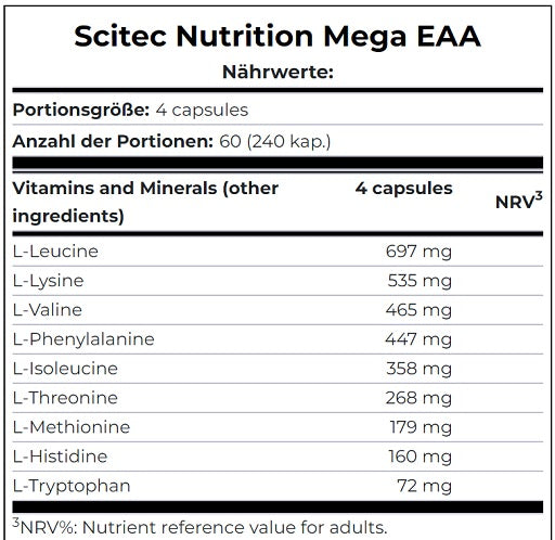 Ausdauer-Set: MST Magnesium + BioTech One A + Scitec Mega EAA – Scitec Mega EAA 240 Kapseln