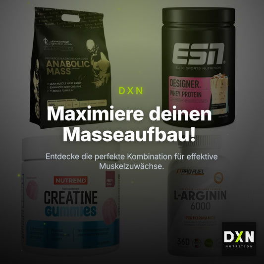 Masseaufbau für Fortgeschrittene: Kevin Levrone Anabolic + 3 weitere – Clean Showcase Plus