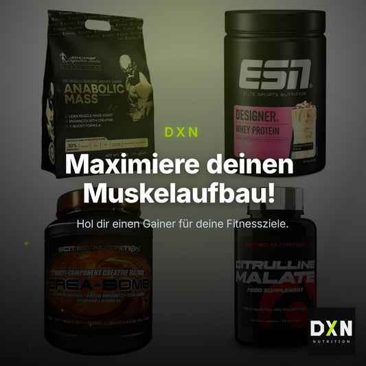Masseaufbau für Fortgeschrittene: Kevin Levrone Anabolic + 3 weitere – Clean Showcase Plus