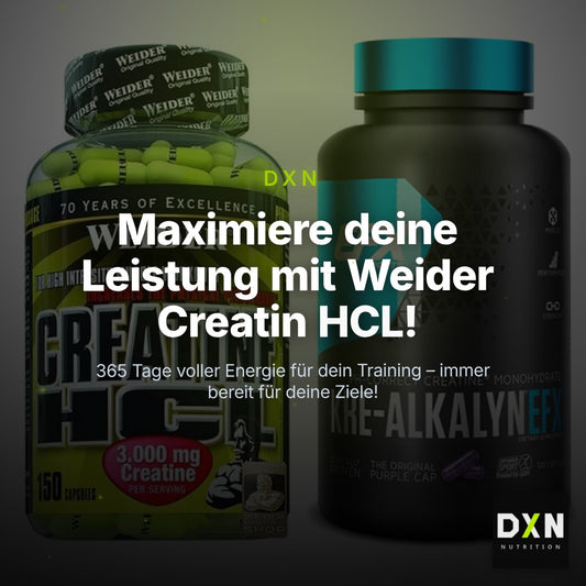 Creatin-Jahresvorrat: Weider Creatin HCL – 365 Tage, 420 Kapseln – Clean Showcase Plus