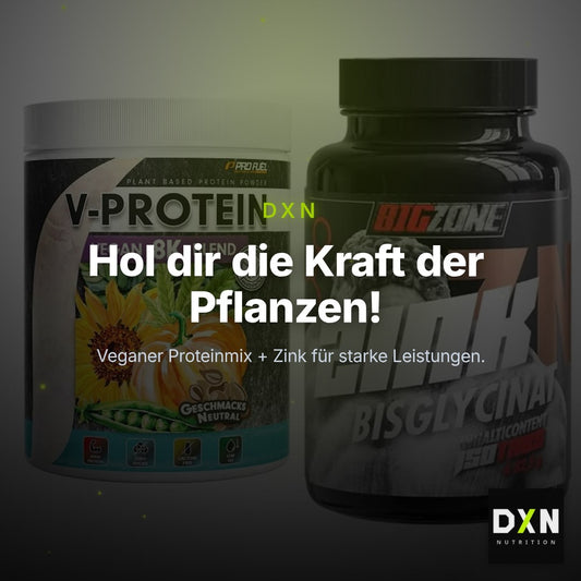 Basis-Set: ProFuel V-Protein Vegan 8K + Big Zone Zink Bisglycinat – Clean Showcase Plus