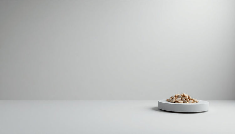 More Nutrition – Titelbild
