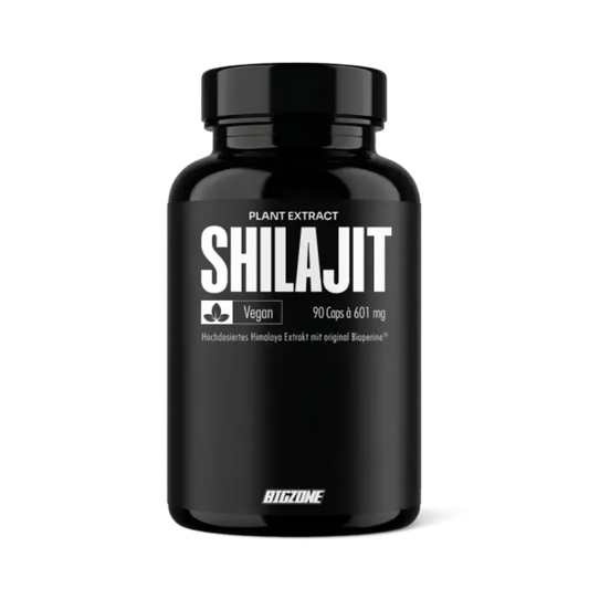 Big Zone Shilajit 90 Kapseln