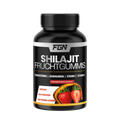 FGN Shilajit 60 Fruchtgummies
