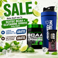 Scitec BCAA + Glutamine Xpress 300g Mojito SALE + 1x Applied Stainless Steel Shaker blue - 750ml + 1x ESN Designer Bar Dark Chocolate Salted GRATIS