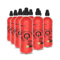 QNT Thermo Booster 12x700ml