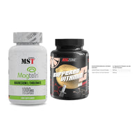 Ausdauer-Set: MST Magnesium + Big Zone Buffere + INLEAD L-Carniti