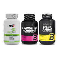 Ausdauer-Set: MST Magnesium + BioTech L-Carnit + BioTech Mega