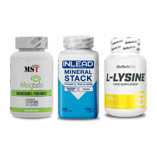 Ausdauer-Set: MST Magnesium + INLEAD Mineral + BioTech L-Lysine – alle enthaltenen Artikel