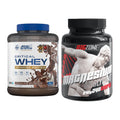 Basis-Set: Applied Nutrition Critical + Big Zone Magnesium – alle enthaltenen Artikel