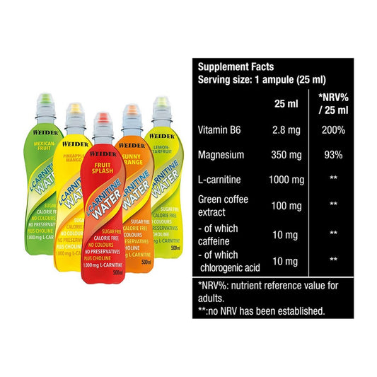 Cardio-Duo: Weider L-Carnitine WATER + BioTech Magna Shot – alle enthaltenen Artikel