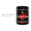 Cardio-Duo: INLEAD L-Carnitine Tartrate + Viking Power Leviathan – alle enthaltenen Artikel