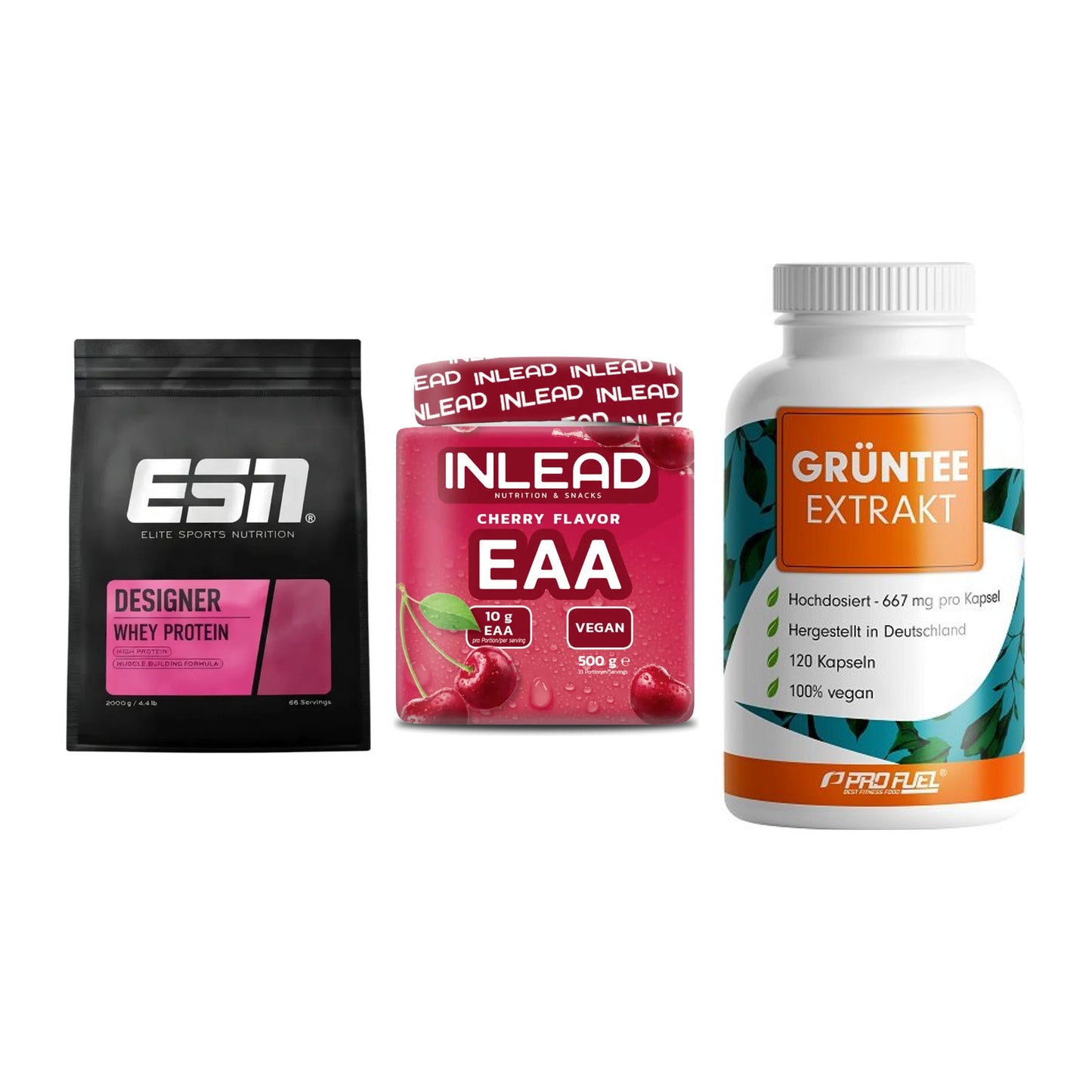 Definitionsphase-Set: ESN Designer + INLEAD EAA + ProFuel Grünte – alle enthaltenen Artikel