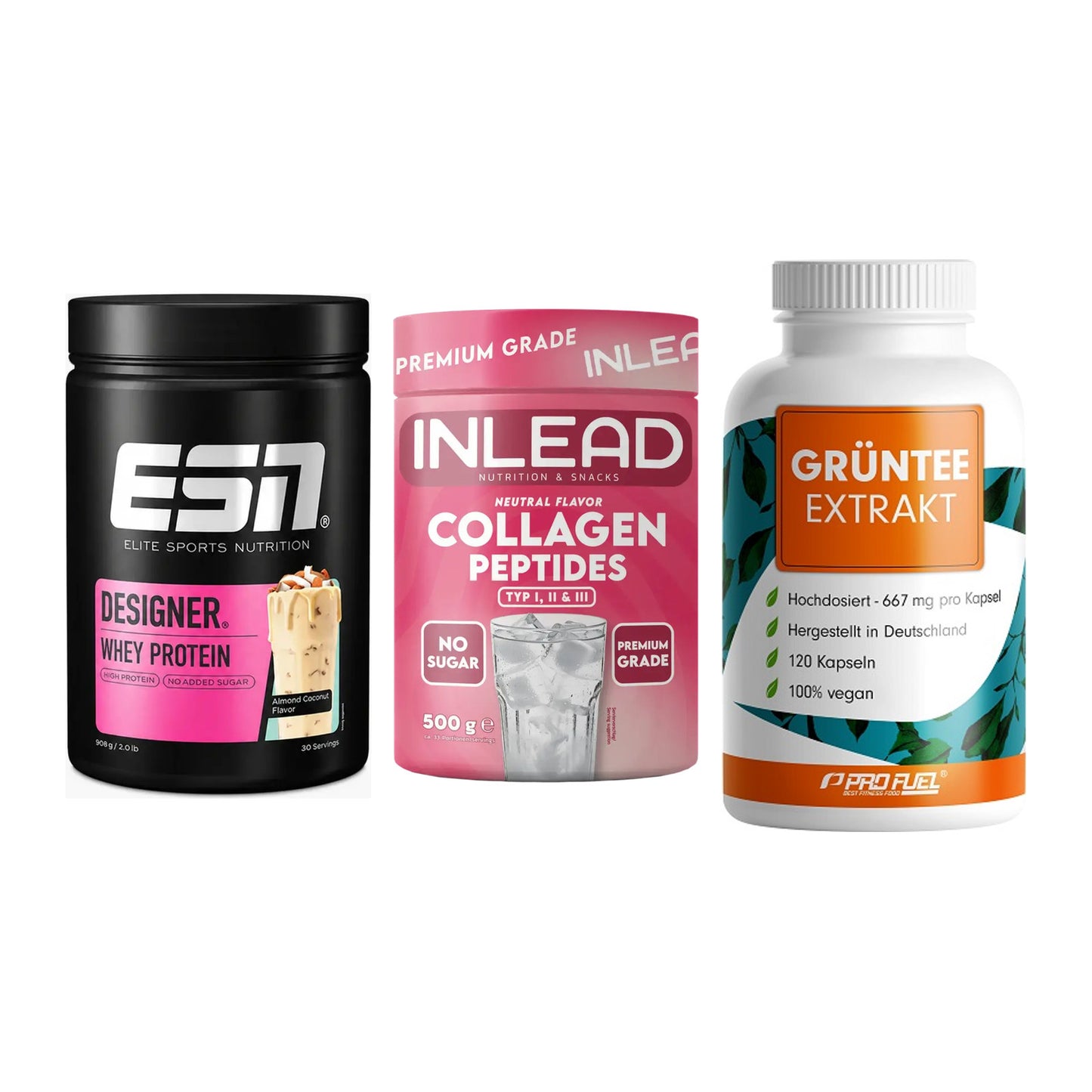 Definitionsphase-Set: ESN Designer + INLEAD Collage + ProFuel Grünte – alle enthaltenen Artikel