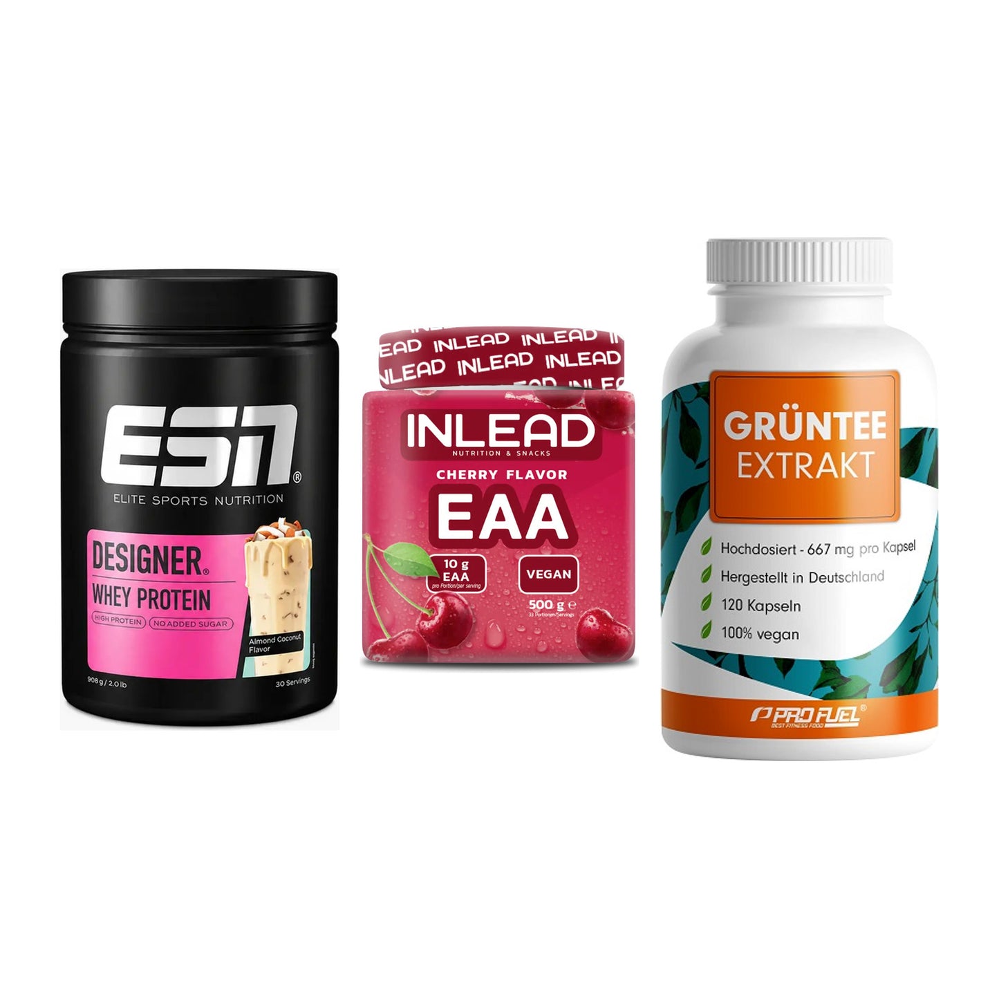 Definitionsphase-Set: ESN Designer + INLEAD EAA + ProFuel Grünte – alle enthaltenen Artikel