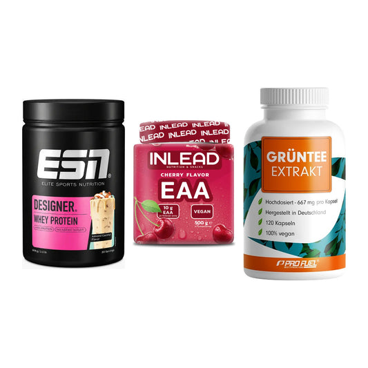 Definitionsphase-Set: ESN Designer + INLEAD EAA + ProFuel Grünte – alle enthaltenen Artikel