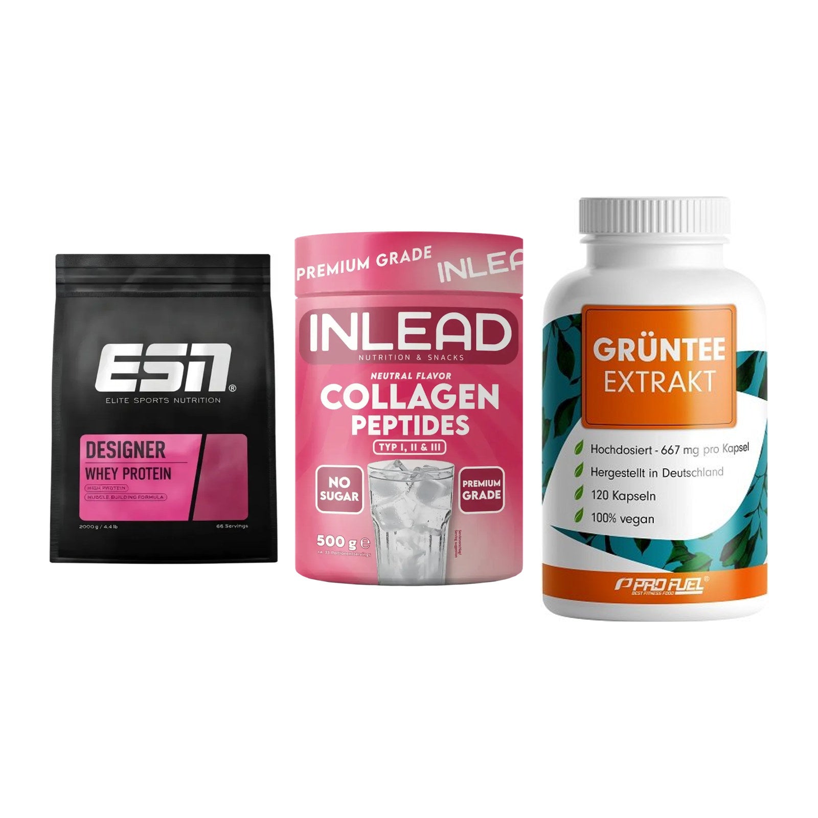 Definitionsphase-Set: ESN Designer + INLEAD Collage + ProFuel Grünte – alle enthaltenen Artikel