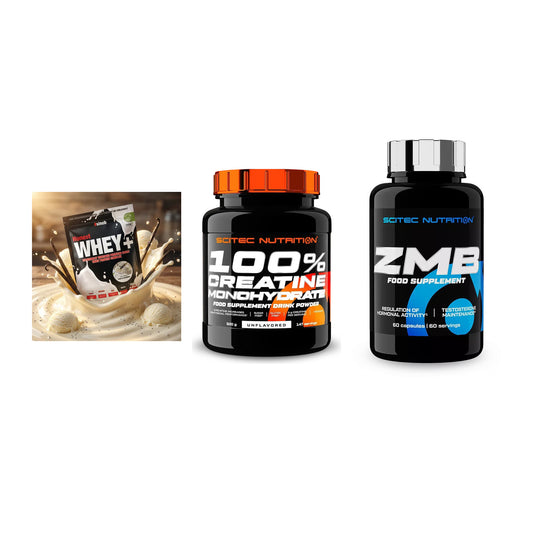 Einsteiger-Set: Sinob Honest + Scitec Creatine + Scitec ZMB – alle enthaltenen Artikel