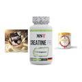 Einsteiger-Set: Sinob Honest + MST Creatine Pro + FA Nutrition – alle enthaltenen Artikel