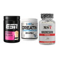 Einsteiger-Set: ESN Designer + NNT Creatin 1000 + MST Magnesium – alle enthaltenen Artikel