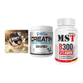 Einsteiger-Set: Sinob Honest + NNT Creatin 1000 + MST B300 B-Compl – alle enthaltenen Artikel