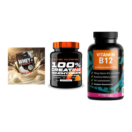 Einsteiger-Set: Sinob Honest + Scitec Creatine + ProFuel Vitamin – alle enthaltenen Artikel