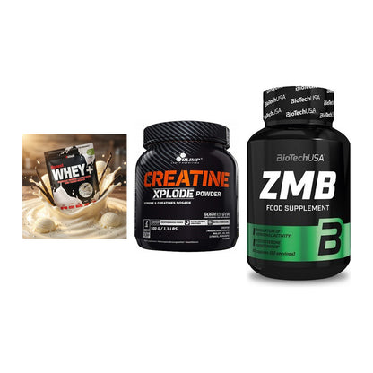 Einsteiger-Set: Sinob Honest + Olimp Creatine + BioTech ZMB – alle enthaltenen Artikel