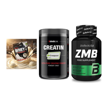 Einsteiger-Set: Sinob Honest + Sinob Creatin + BioTech ZMB – alle enthaltenen Artikel