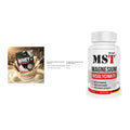 Einsteiger-Set: Sinob Honest + INLEAD Creatine + MST Magnesium – alle enthaltenen Artikel