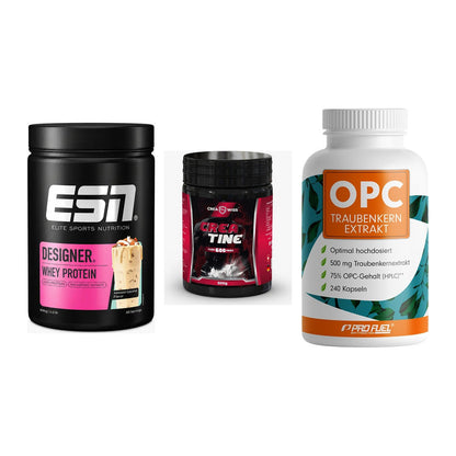Einsteiger-Set: ESN Designer + CREASWISS + ProFuel OPC – alle enthaltenen Artikel