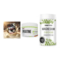 Einsteiger-Set: Sinob Honest + MST Creatin Pro + Sinob Magnesium – alle enthaltenen Artikel