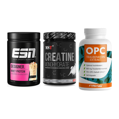 Einsteiger-Set: ESN Designer + MST Creatin + ProFuel OPC – alle enthaltenen Artikel