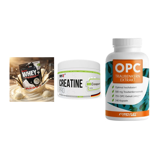 Einsteiger-Set: Sinob Honest + MST Creatin Pro + ProFuel OPC – alle enthaltenen Artikel