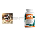 Einsteiger-Set: Sinob Honest + INLEAD Creatine + ProFuel OPC – alle enthaltenen Artikel