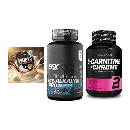 Einsteiger-Set: Sinob Honest + EFX Kre-Alkalyn + BioTech L-Carnit – alle enthaltenen Artikel