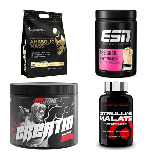 Masseaufbau für Fortgeschrittene: Kevin Levrone Anabolic + 3 weitere – alle enthaltenen Artikel