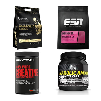 Masseaufbau für Fortgeschrittene: Kevin Levrone Anabolic + 3 weitere – alle enthaltenen Artikel