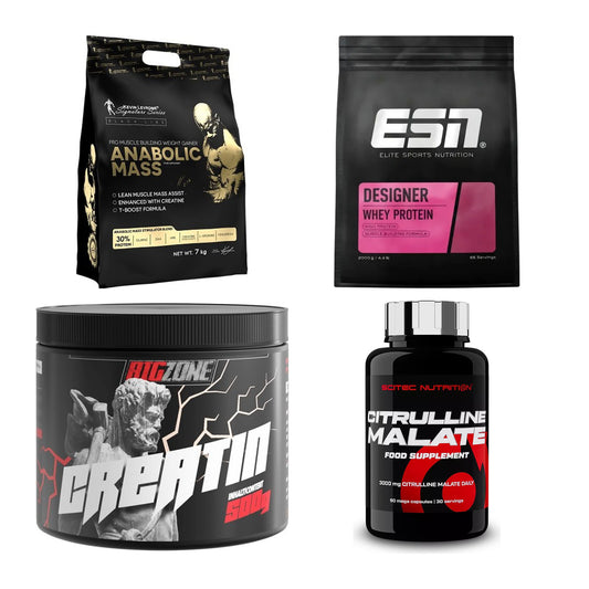 Masseaufbau für Fortgeschrittene: Kevin Levrone Anabolic + 3 weitere – alle enthaltenen Artikel