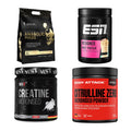 Masseaufbau für Fortgeschrittene: Kevin Levrone Anabolic + 3 weitere – alle enthaltenen Artikel