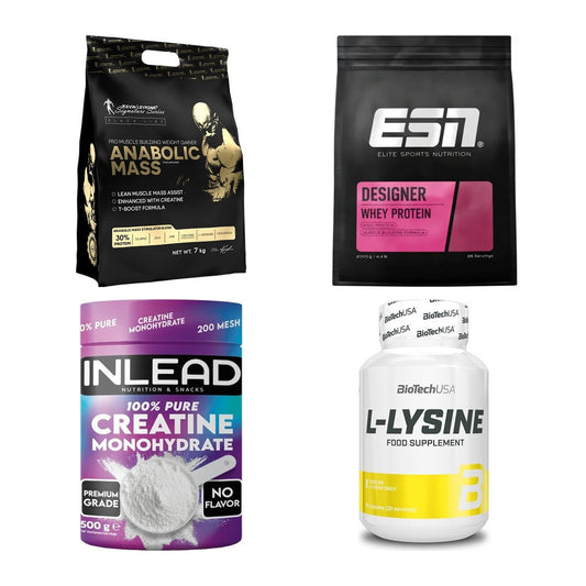 Masseaufbau für Fortgeschrittene: Kevin Levrone Anabolic + 3 weitere – alle enthaltenen Artikel