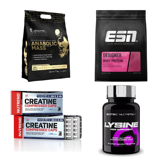Masseaufbau für Fortgeschrittene: Kevin Levrone Anabolic + 3 weitere – alle enthaltenen Artikel