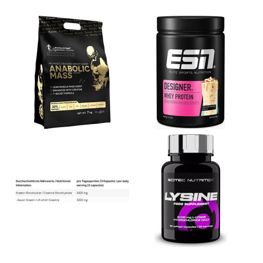 Masseaufbau für Fortgeschrittene: Kevin Levrone Anabolic + 3 weitere – alle enthaltenen Artikel