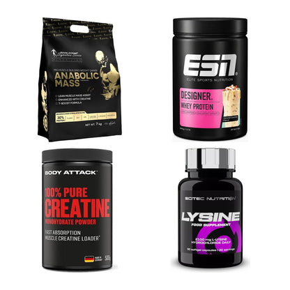 Masseaufbau für Fortgeschrittene: Kevin Levrone Anabolic + 3 weitere – alle enthaltenen Artikel