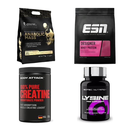 Masseaufbau für Fortgeschrittene: Kevin Levrone Anabolic + 3 weitere – alle enthaltenen Artikel