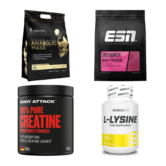 Masseaufbau für Fortgeschrittene: Kevin Levrone Anabolic + 3 weitere – alle enthaltenen Artikel