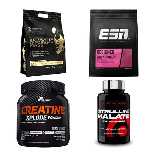 Masseaufbau für Fortgeschrittene: Kevin Levrone Anabolic + 3 weitere – alle enthaltenen Artikel